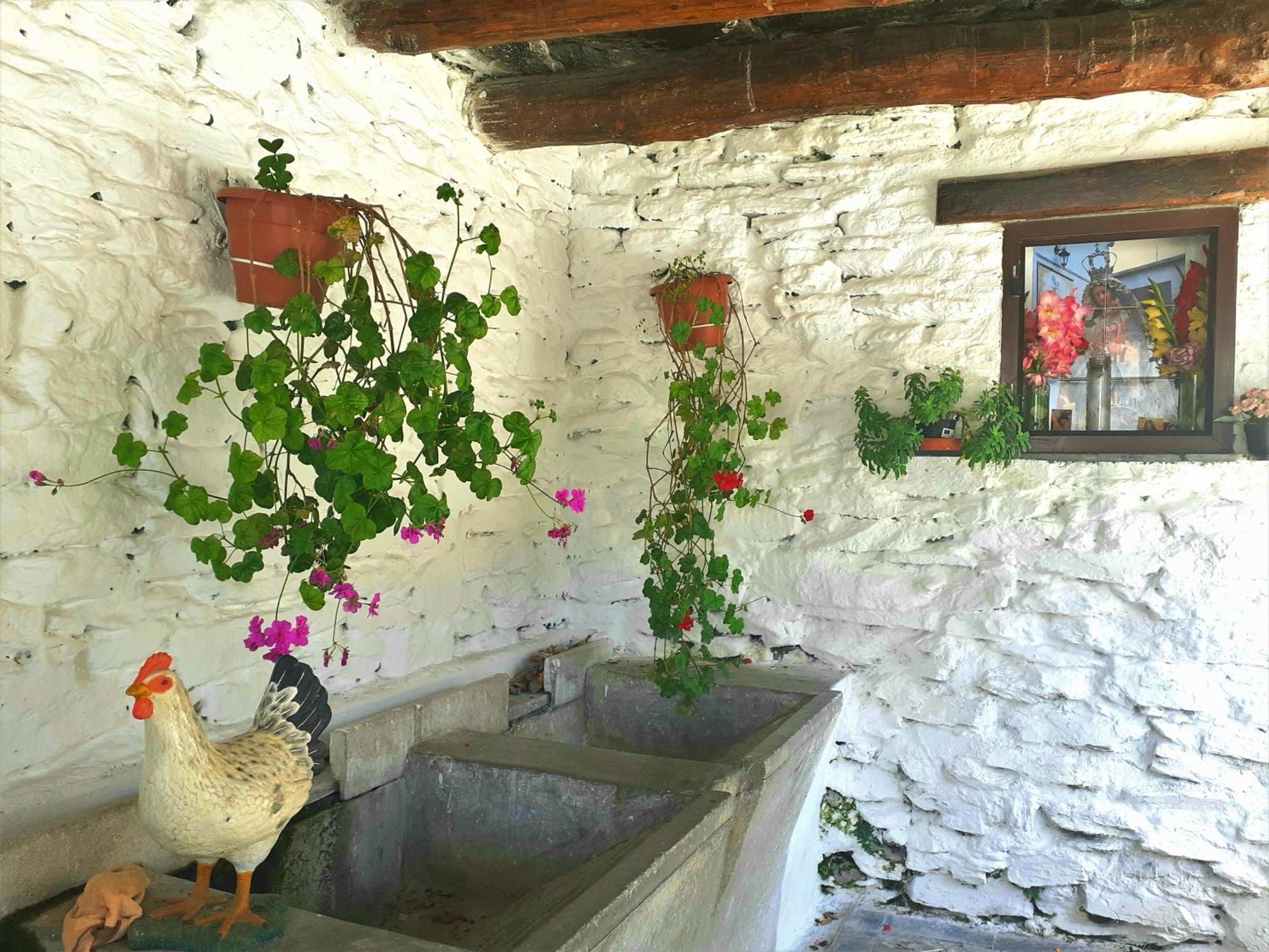 La Casa De La Bombilla Verde Trevelez Bagian luar foto