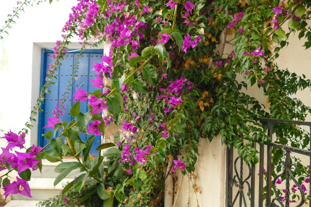 La Casa De La Bombilla Verde Trevelez Bagian luar foto