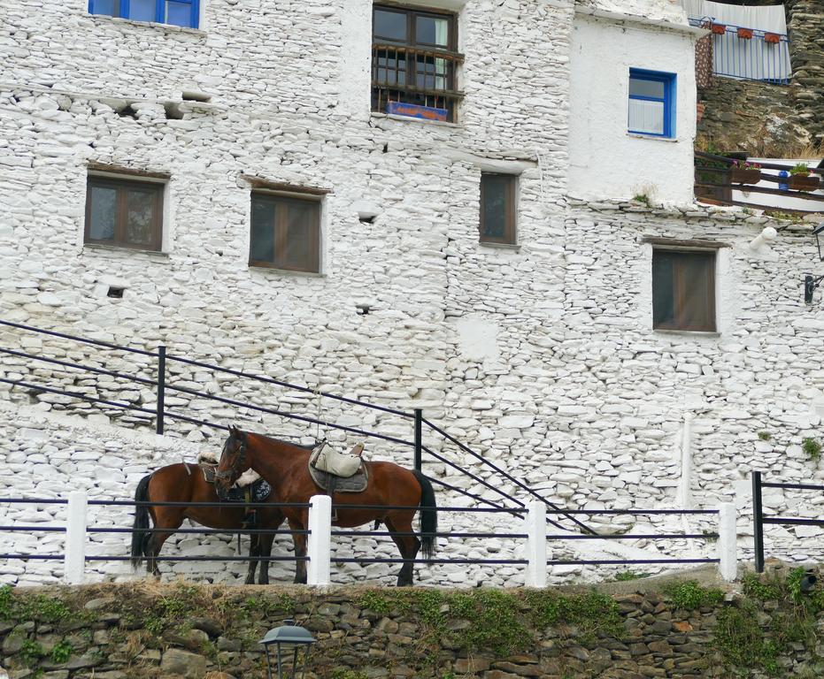 La Casa De La Bombilla Verde Trevelez Bagian luar foto