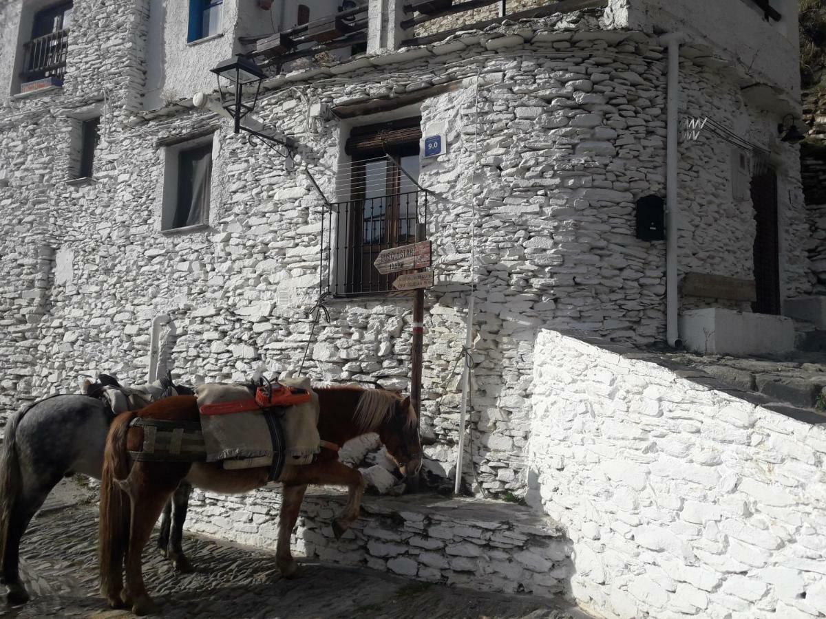 La Casa De La Bombilla Verde Trevelez Bagian luar foto