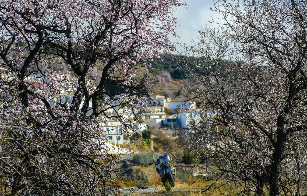 La Casa De La Bombilla Verde Trevelez Bagian luar foto